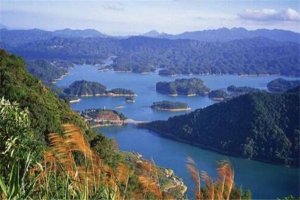 鹤岗有什么好玩的地方？盘点鹤岗好玩的地方排行榜