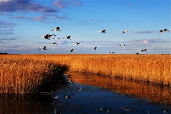 齐齐哈尔最好玩的地方推荐 齐齐哈尔好玩的地方排行榜