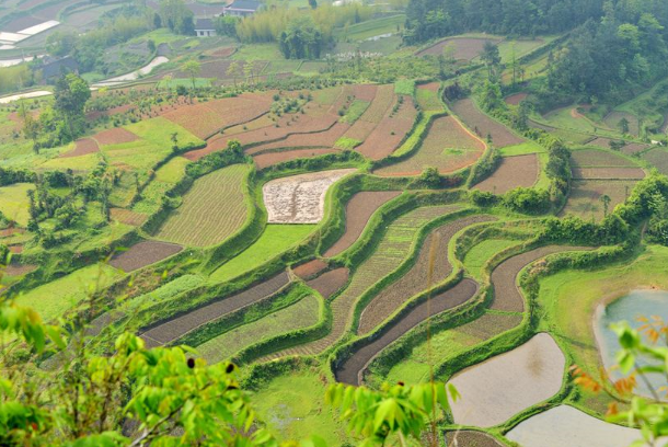 湖南人口最多县是哪个 湖南人口大县排名