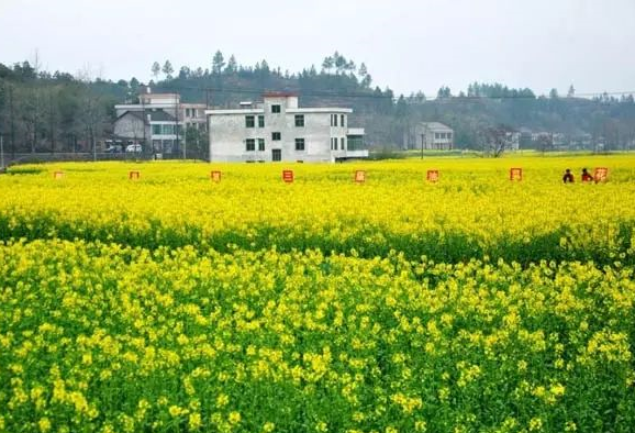 湖南人口最多县是哪个 湖南人口大县排名