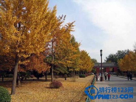 北京艳遇指数最高的十个地方