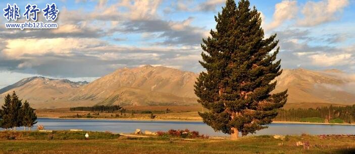 最受中国人青睐的移民国家排行榜，美国登顶加拿大次之