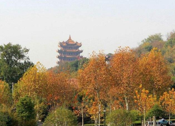 古诗词中的十大历史名城，每一个都曾美到极致