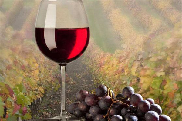 去澳门最值得买的东西 化妆品/手信/药品都别错过