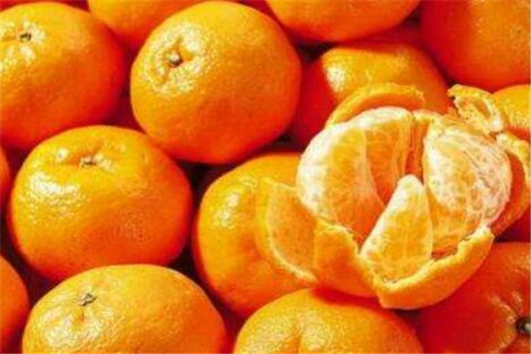 漳州南靖十大特产 正冬蜜是明朝朝廷御用贡品