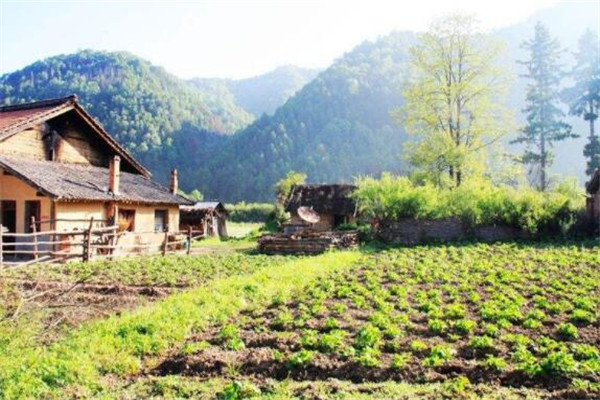 陕西十大名村，袁家村最有钱，和平村年纳税超千万