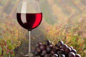 去澳门最值得买的东西 化妆品/手信/药品都别错过