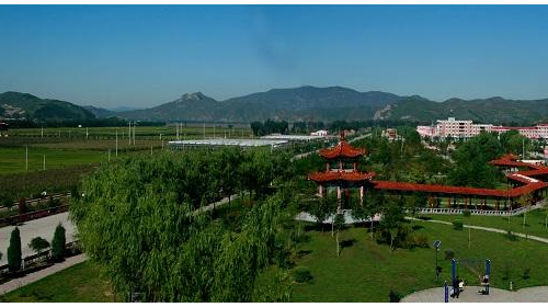 石邢台沙河市栾卸村