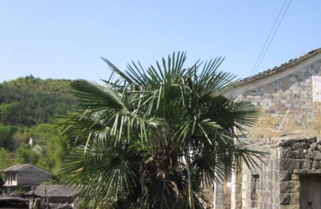 辽宁十大名村 大连3个村上榜综合实力强