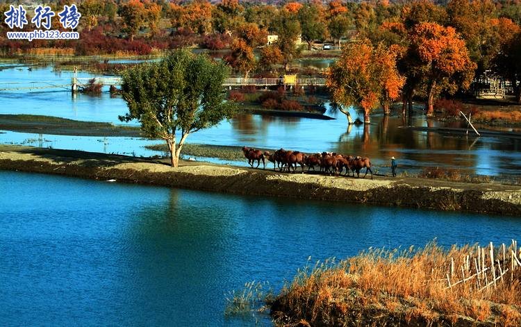 2017年12月巴州各区房价排行榜 2017年12月巴州房价均价多少?