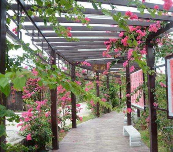 海南文化名村有哪些？盘点海南十大名村 