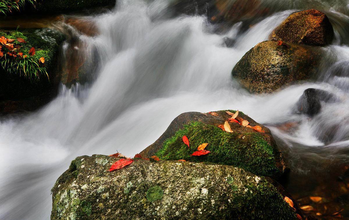 2017年12月巴中各区房价排行榜 2017年12月巴中房价均价多少?