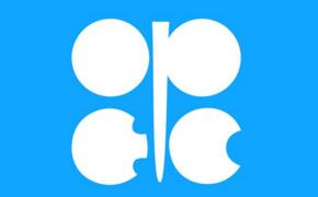 欧佩克成员国有哪些,opec成员国的重要作用(13个)