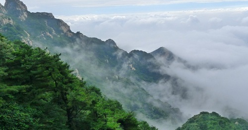 鲁是哪个省的简称?鲁是哪个省份?
