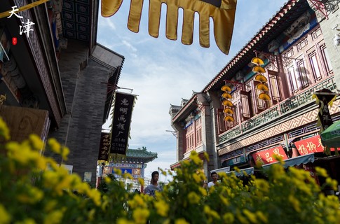 天津属于哪个省？天津属于南方还是北方？