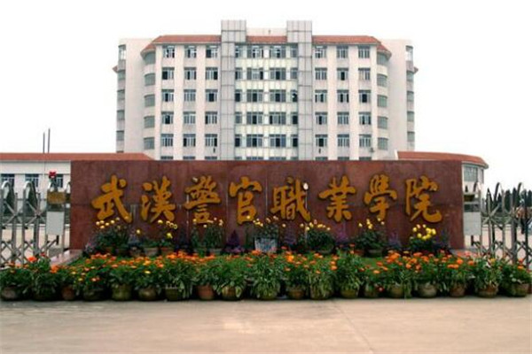 武汉专科大学有哪些 2019武汉专科大学排名及分数线