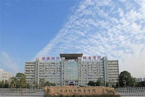 武汉专科大学有哪些 2019武汉专科大学排名及分数线