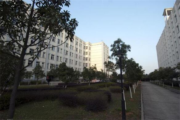 武汉专科大学有哪些 2019武汉专科大学排名及分数线