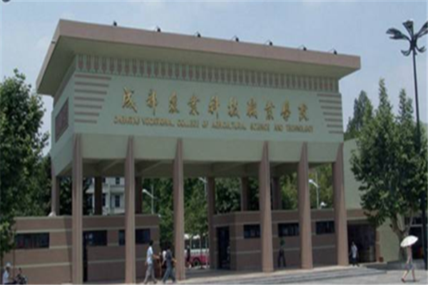 四川专科大学有哪些 2019四川所有专科大学排名及分数线