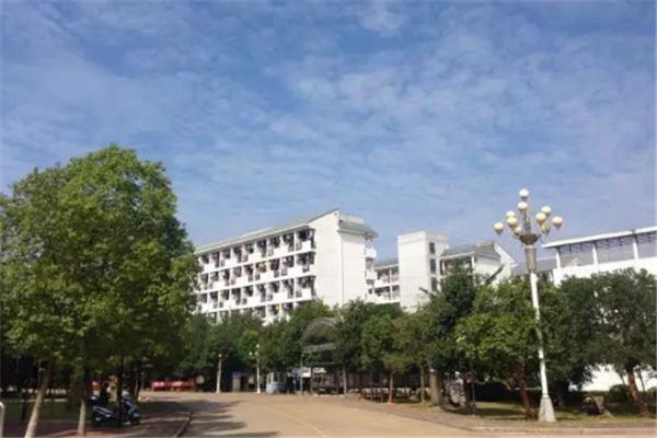 广西专科大学有哪些 2019广西所有专科大学排名及分数线