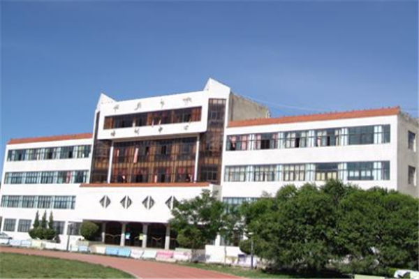 西藏专科大学有哪些 2019西藏所有专科大学排名及分数线