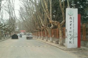 陕西专科大学有哪些 2019陕西所有专科大学排名及分数线