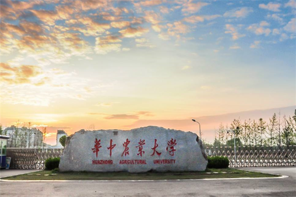 2019武汉所有大学排名一览表 武大排名第一(84所)