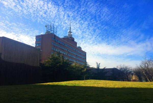 2019年中国艺术类大学排名