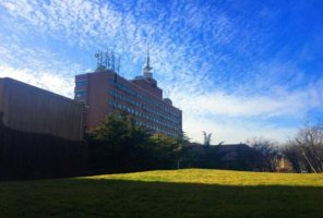 2019年中国艺术类大学排名，5所学校并列第一