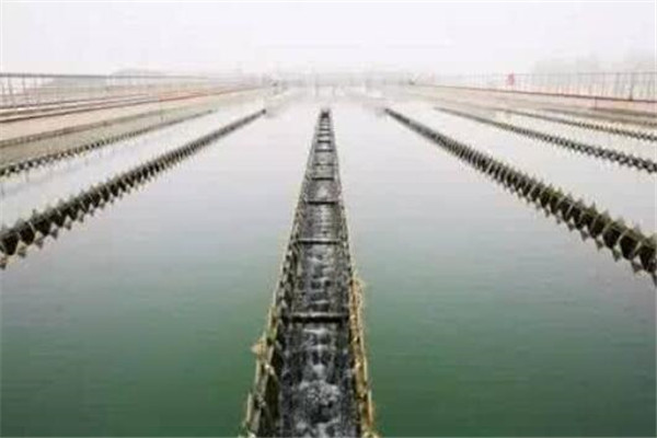 理科冷门专业排名，海洋学专业上榜，基本就业环境都很艰苦