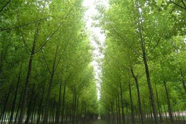 理科冷门专业排名，海洋学专业上榜，基本就业环境都很艰苦