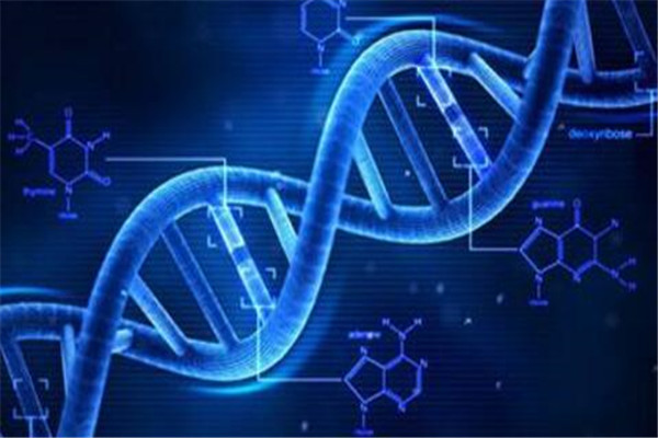 浙大收入最高十大专业 浙大收入高的专业推荐