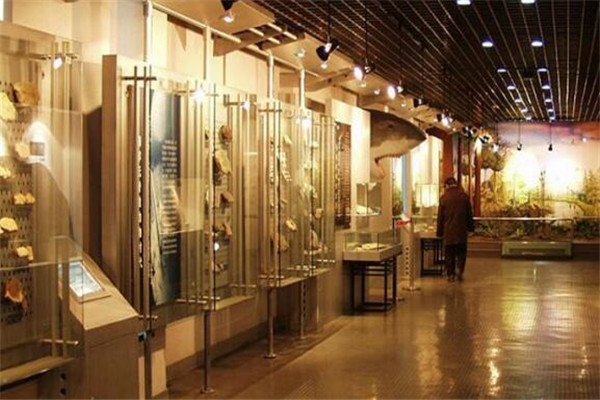 上海复旦冷门专业排名 政治学、哲学上榜（6个）