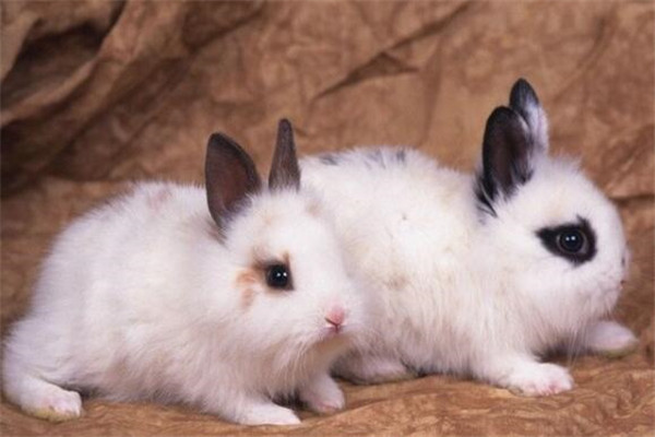 研究生冷门易考专业排名 通过率高就业前景好