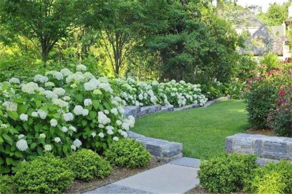 研究生冷门易考专业排名 通过率高就业前景好