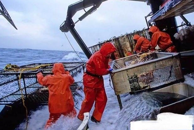 月薪过十万的恐怖职业，工资高却很少人想干的危险工作