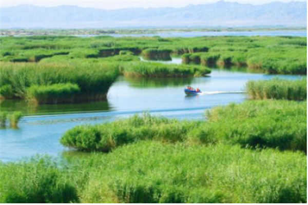 上海交通大学王牌专业排名 船舶与海洋工程上榜（10个）　