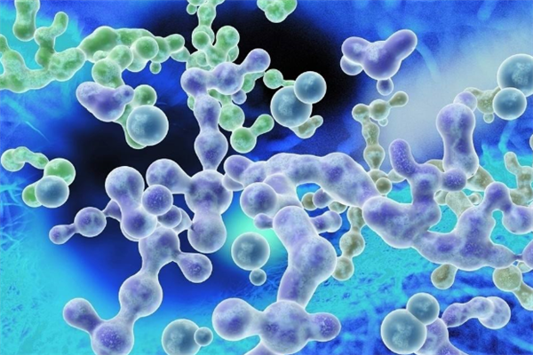 北京大学王牌专业排名 经济学上榜(6个)