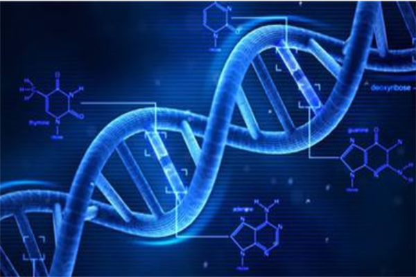 东南大学王牌专业排名 生物医学工程上榜(4个)
