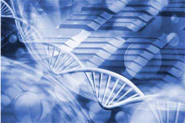 中南大学王牌专业排名 冶金工程上榜(7个)