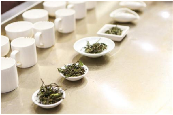 中国十大冷门专业排名 公共事业管理上榜