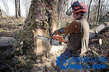 2014年 全 球 最 冷 门 职 业 排 行 榜