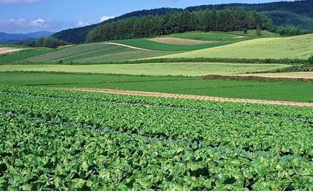 未来发展十大前景行业，未来发展最有潜力的行业 