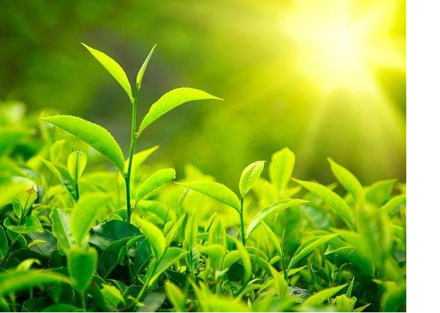 冷门专业排名前十名，就业前景好薪资待遇高