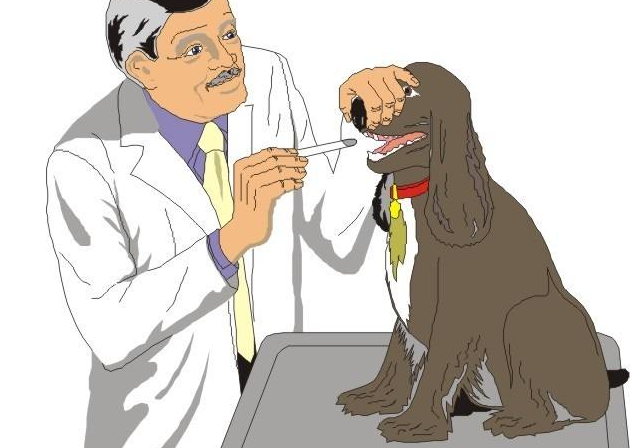 冷门专业排名前十名，就业前景好薪资待遇高