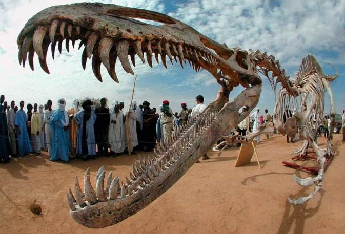 冷门专业排名前十名，就业前景好薪资待遇高