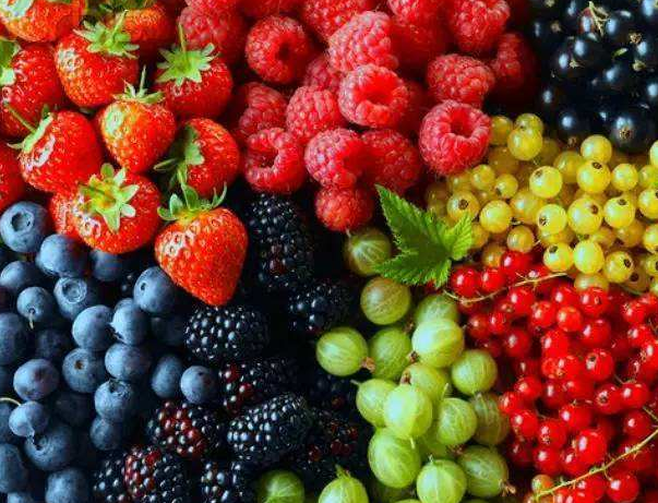 年薪50万危险高薪工作，让人吃惊的高薪职业竟然有捡垃圾!