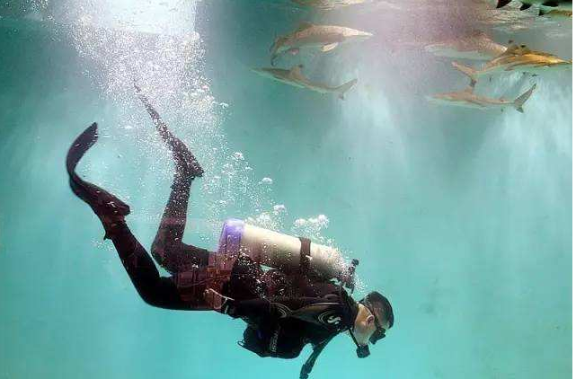 年薪50万危险高薪工作，让人吃惊的高薪职业竟然有捡垃圾!