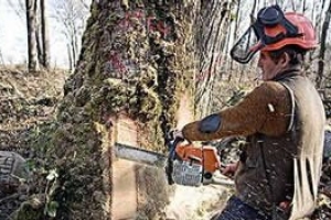 2014全球十大最冷门职业