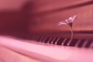 怎样看是否适合学钢琴？盘点十种不适合学钢琴的人